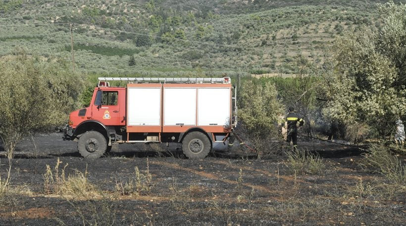 Πυρκαγιά σε δασική έκταση στο Μέτσοβο